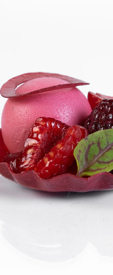 Frozen Fruit Puree