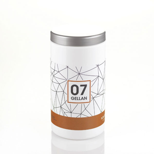 Gellan N° 7