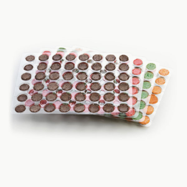 Macarons assortment, spring (cocoa, orange, pistachio,berries